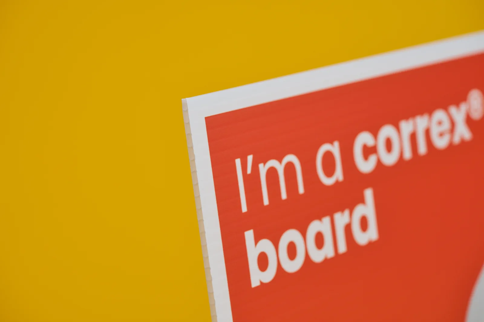correx-boards-detail1