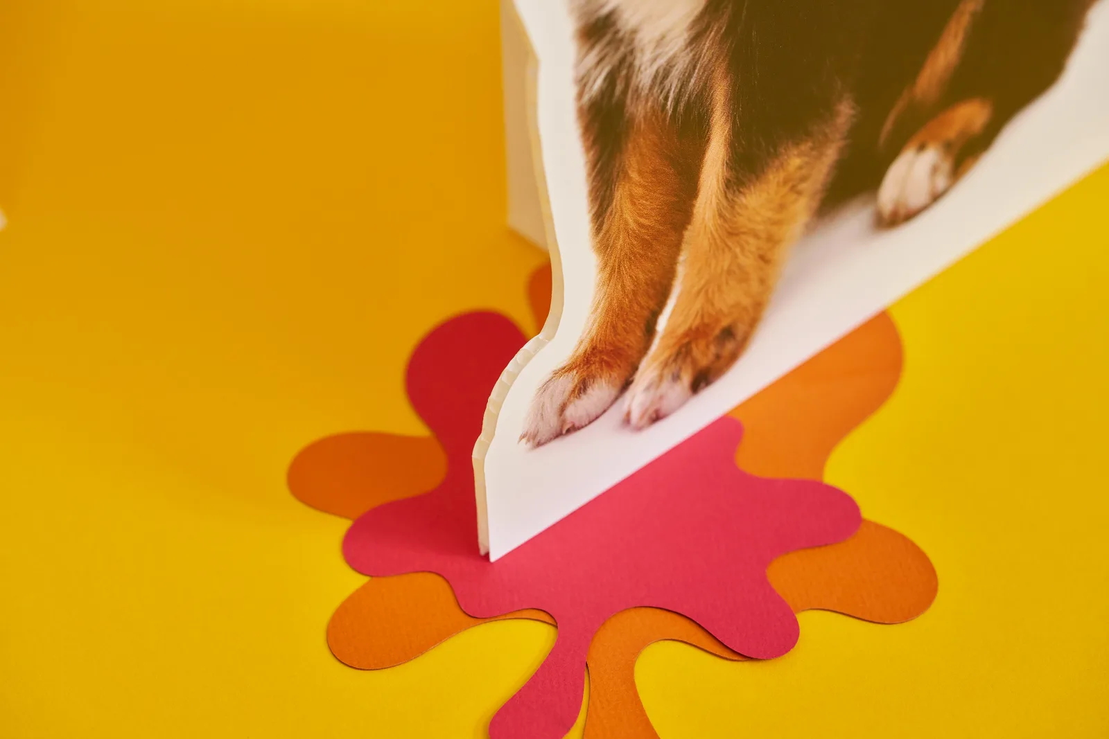 close up of a life size cutout of a dog on a bright yellow background with red and orange paper ink spills