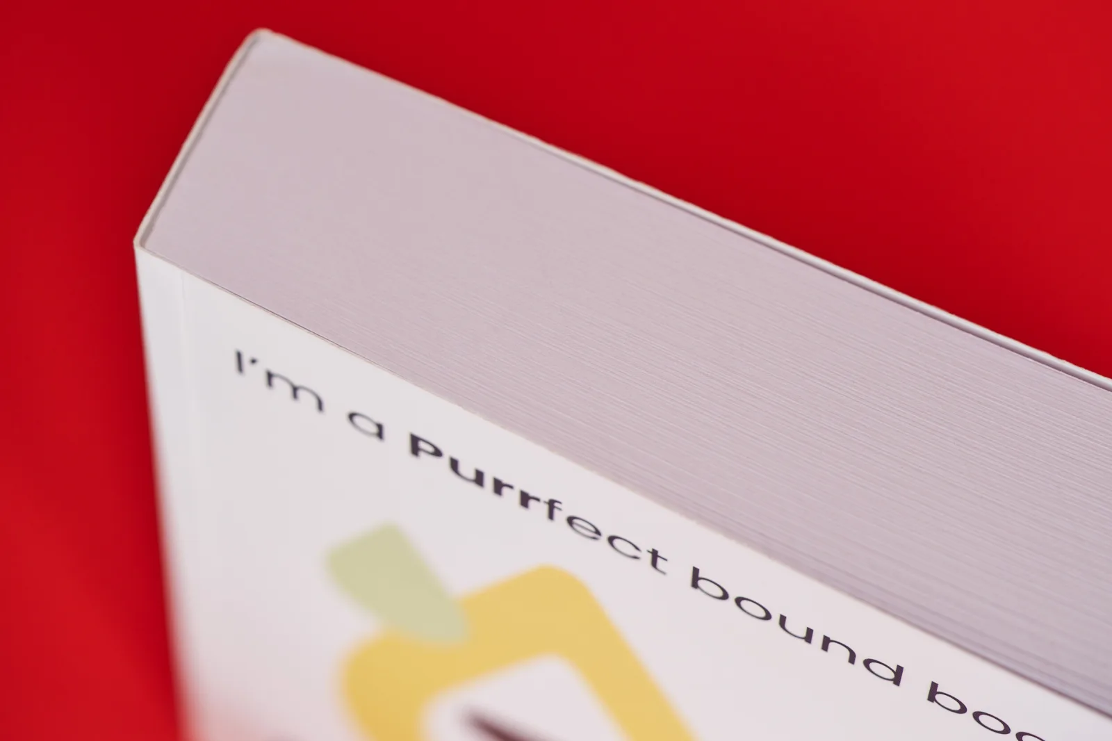 Close up of a thick A5 landscape perfect bound book showing the spine and glue on a bright red background