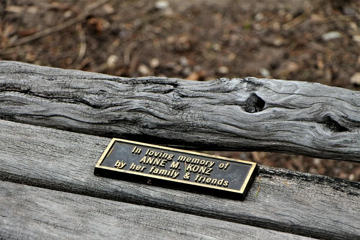 Engraved Panels
