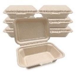 Disposable Food Box