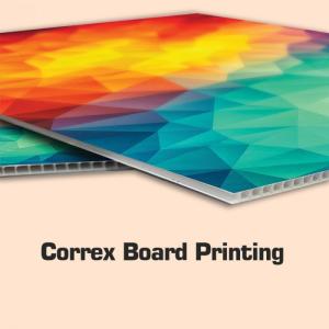 Correx Board