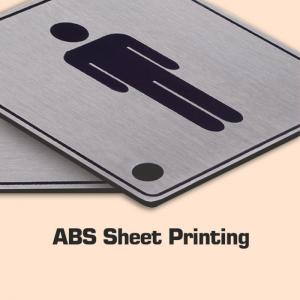 ABS Panel